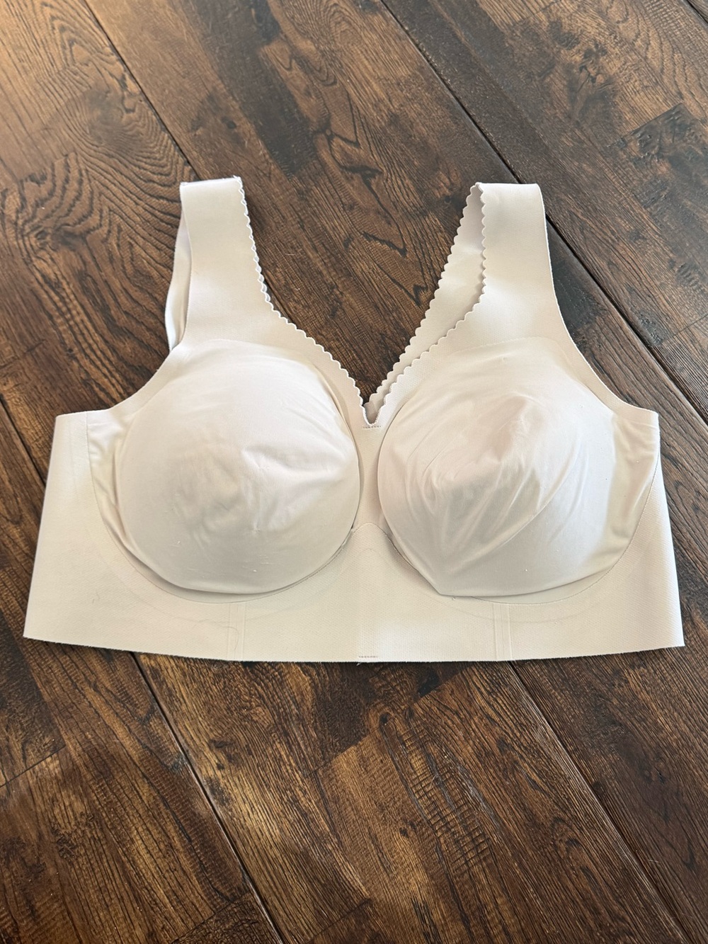 Evelyn and Bobbie Evelyn Seamless Padded Bra in Light Beige Size XL - Picture 12 of 14